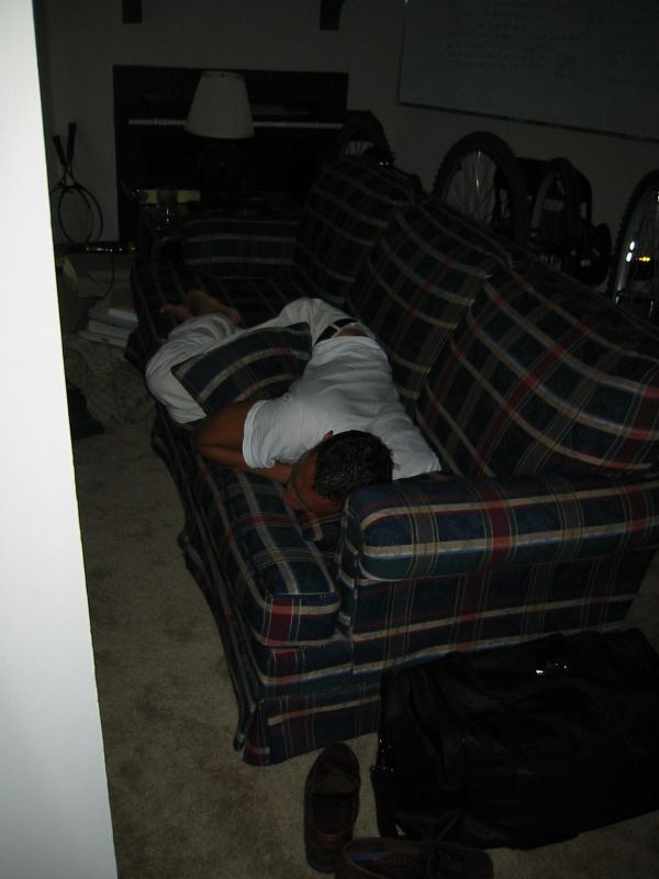 Dan mating with a couch cushion. Or sleeping.