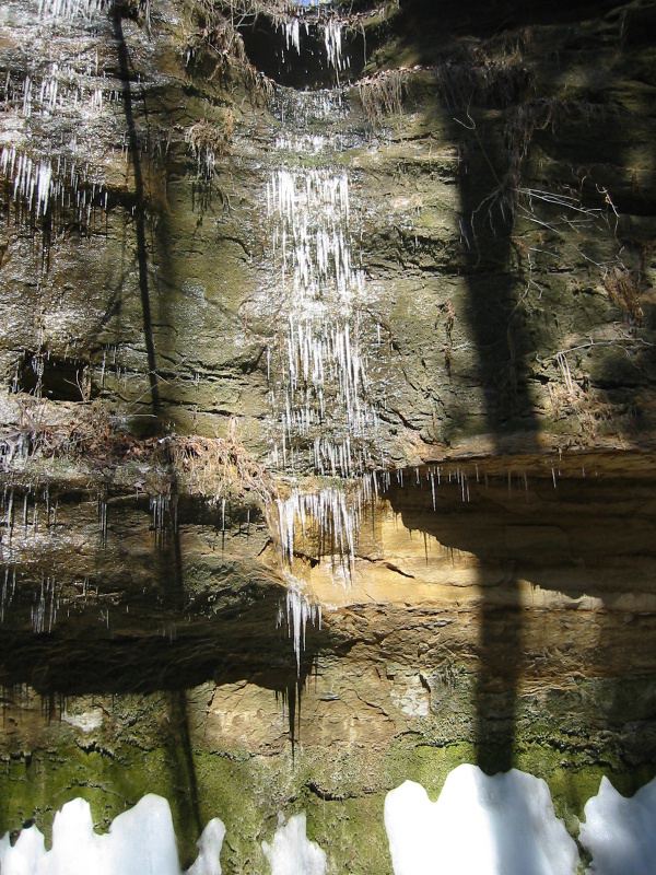 Ice. Forms when it's cold.