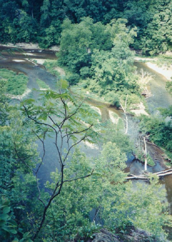 Some of Sugar creek.