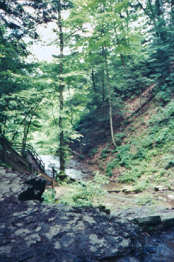 Creek draining into Sugar creek.
