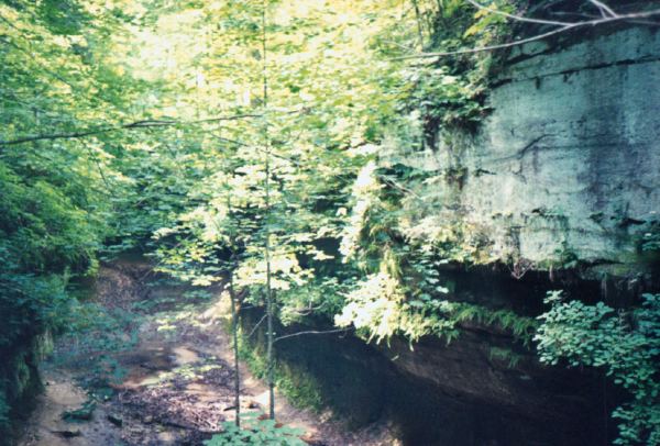 Shades park8