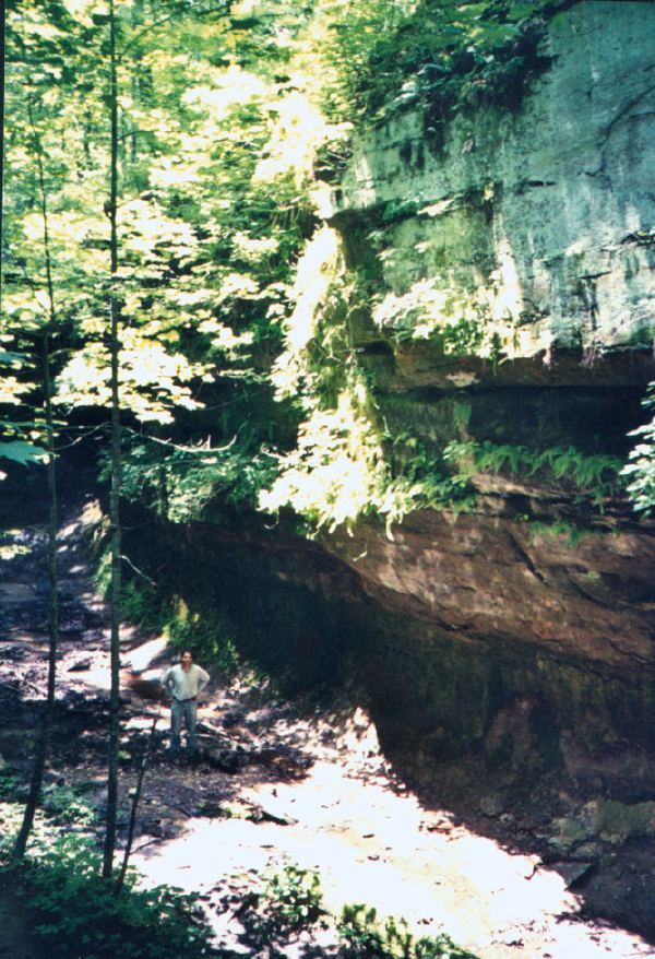 Shades park9