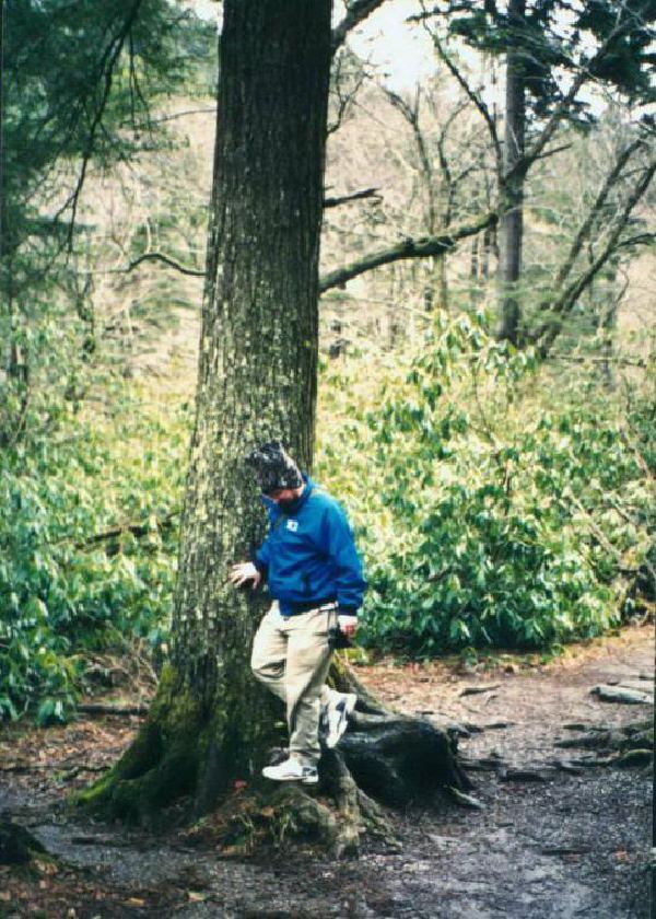 Tree gnome.