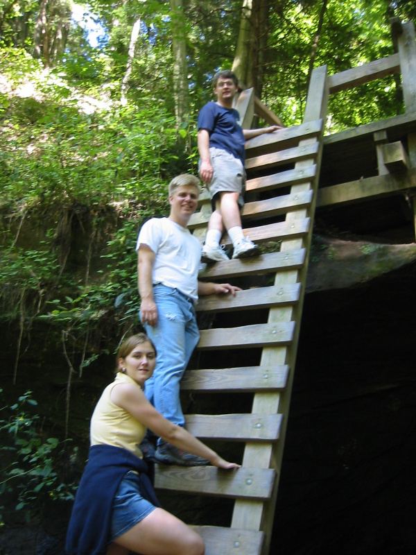 The Ladders.