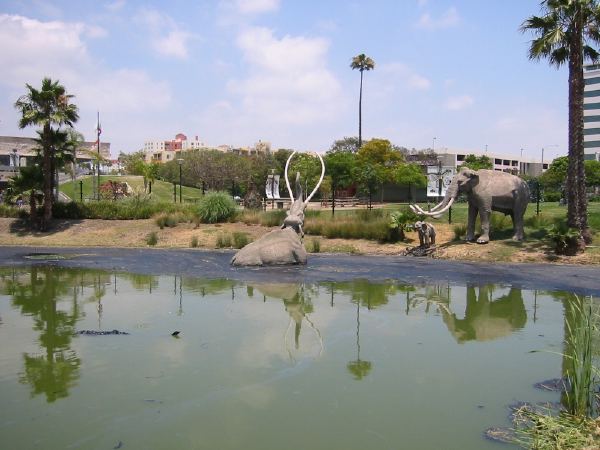 La Brea tar pits.
