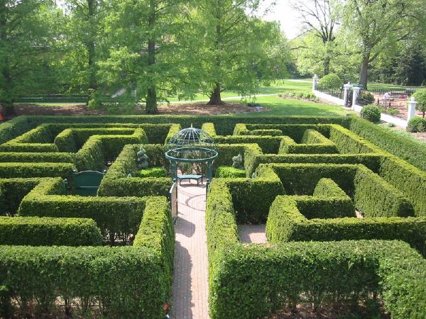 A maze in the gardens.