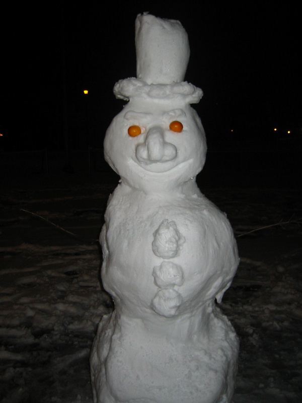 My snowman, named Humpty.