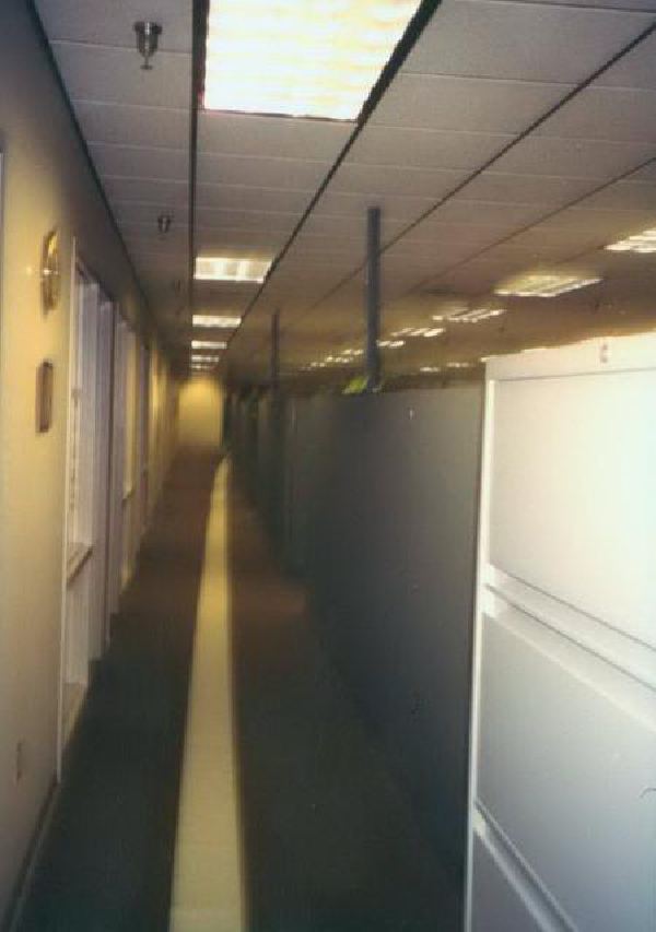 You can roll a roll of paper a long way down the hall at work if you try.